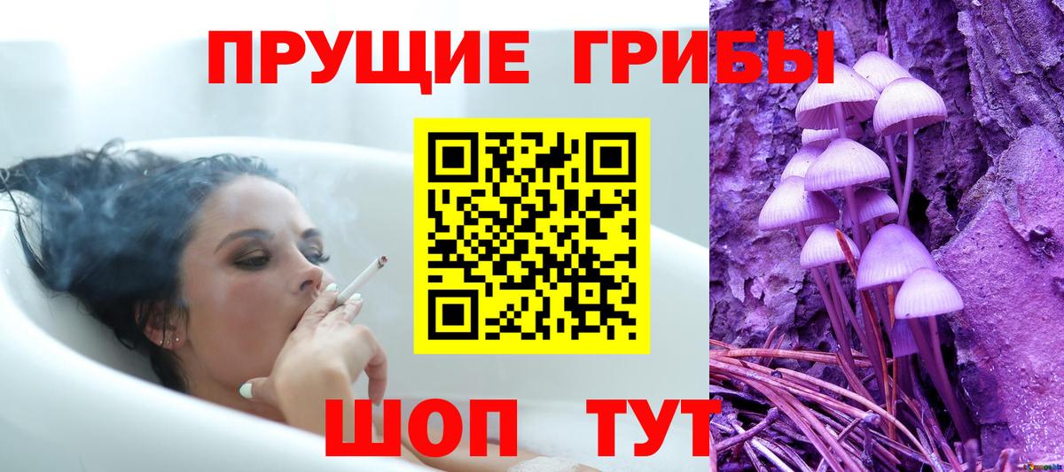 Ишим  Псилоцибиновые грибы MAGIC MUSHROOMS  Вход с VPN 